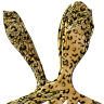 Pietra Di Leopardo a 96x96 pixel