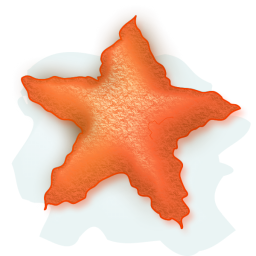 Stella Marina Rossa a 256x256 pixel