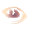 Occhio di carne