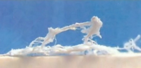 Bambagia silicea: un composto di magnesio, silicio, calcio e boro ritrovato nei luoghi di atterraggio di un UFO