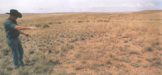 Il punto del campo in cui sarebbe atterrato il velivolo alieno