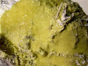 Amminoacidi naturali come cura alla calvizie: cistina