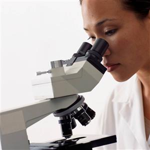 Cani, scoperto il gene FOXI3 che provoca la calvizie: una cura � possibile?
