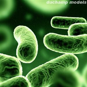I Farmaci Antibatterici