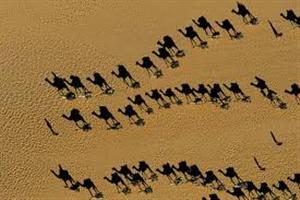 Il deserto del T�n�r�