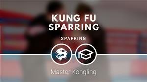 Kung Fu sparring