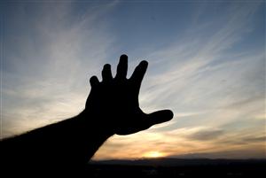 L'anima irrazionale dell'uomo