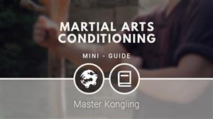 Martial arts conditioning mini-guide