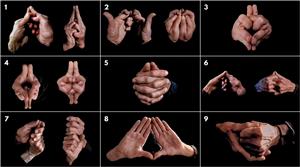 Ninja hand signs: meaning and execution