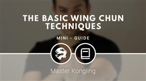 The basic Wing Chun techniques