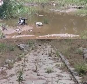 Un'altra strada dell'antica Roma caduta nell'oblio