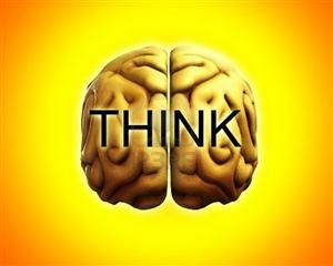 Una riflessione sull'intelligenza