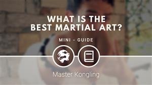 What is the best martial art? [MINI-GUIDE]