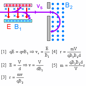 Schema dello spettrometro di massa e formule per esteso