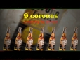 9 Coronas