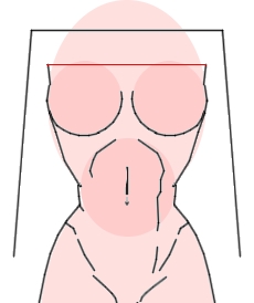Disegnare il busto femminile - Figura 2