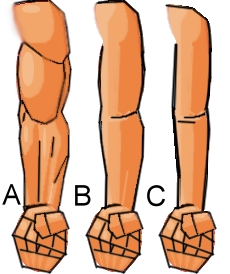 Disegnare un braccio normale - Figura 2