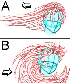 Capelli in movimento - Figura 1