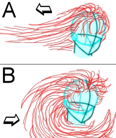 Cheveux en mouvement - Image 1