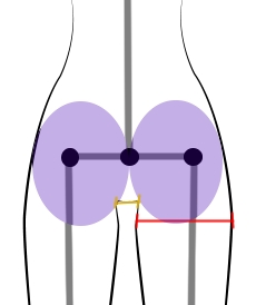 Disegnare glutei femminili di fronte - Figura 1