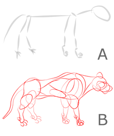 Come disegnare una tigre - Figura 1