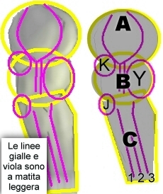 Dibujar un brazo musculoso simple - Figura 1