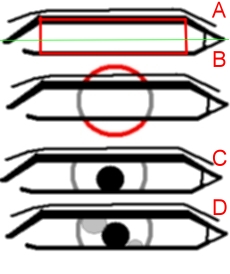 Dibujar los ojos - Figura 1