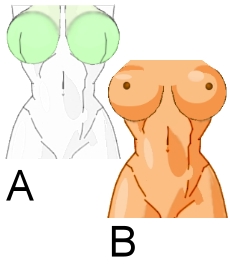 Il seno in stile manga (di fronte) - Figura 3