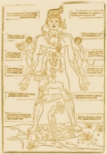 Uomo Zodiacale: relazione tra segno zodiacale e parti del corpo
