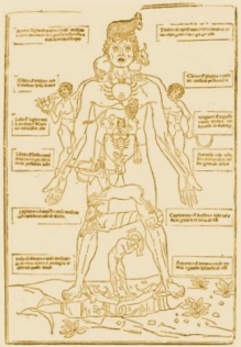 Raffigurazione dell'Uomo Zodiacale