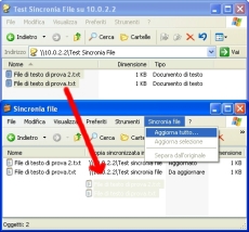 Aggiungere dei file ad una cartella Sincronia File