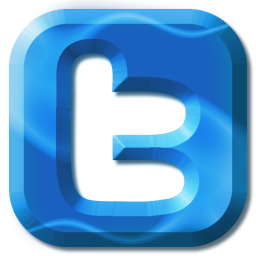 Twitter Icon Logo a 256x256 pixel