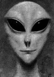 Immagine di un alieno di razza gray