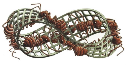 Il nastro di Moebius visto da Escher