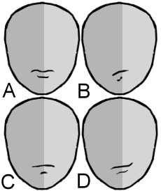 L'espressività della bocca - Figura 1