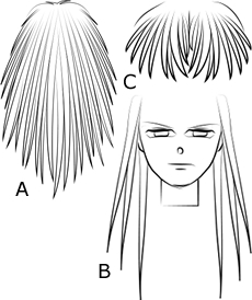 Disegnare capelli lunghi - Figura 1