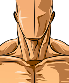 Disegnare un collo muscoloso - Figura 2