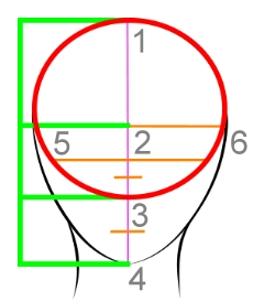 Disegnare la testa di 3/4 - Figura 1