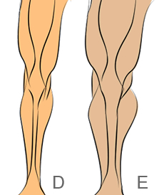 Come disegnare gambe muscolose - Figura 2