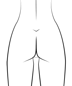Disegnare glutei femminili di fronte - Figura 2