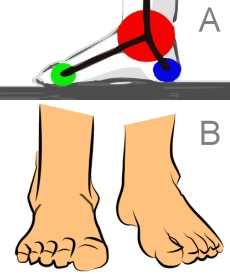 Disegnare un piede di fronte e di 3/4 - Figura 2