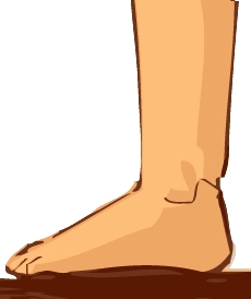 Disegnare un piede (di lato) - Figura 2
