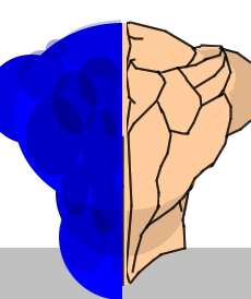 Disegnare una schiena muscolosa - Figura 2