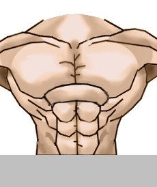 Pettorali e addome di un uomo muscoloso - Figura 3